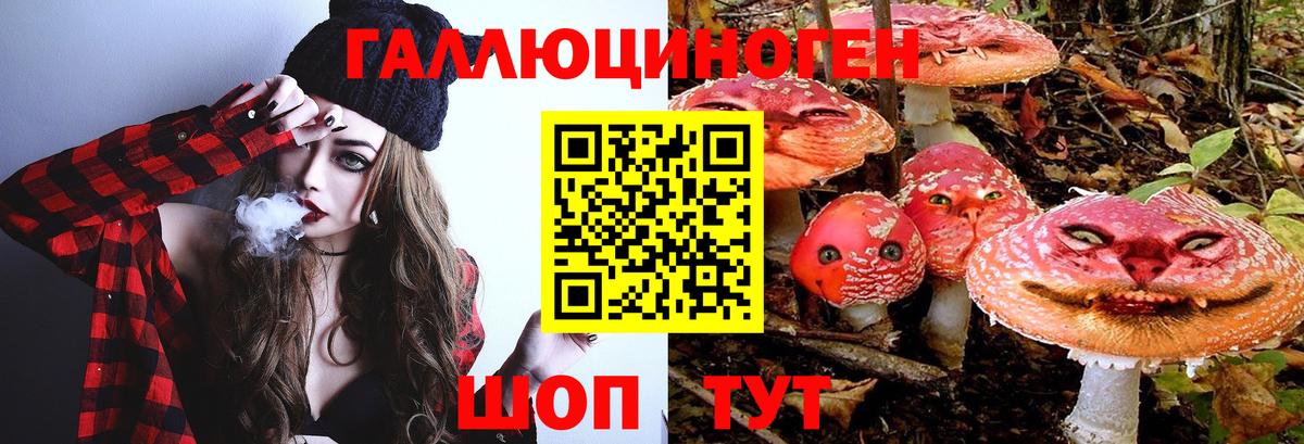 Галлюциногенные грибы мухоморы Кинель